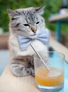 掘金击败步行者,系列赛焦点战中约基奇篮下统治全场,掘金球员约基奇