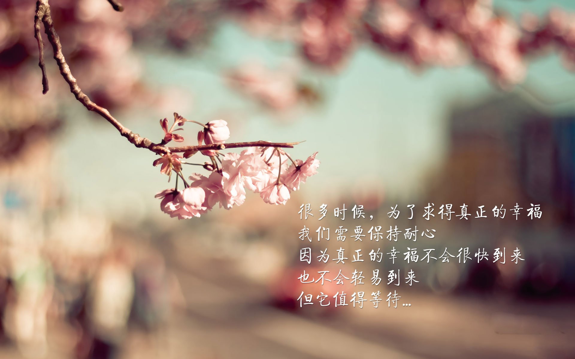 爱游戏下载-顶级比赛：广州战队实现暴力碾压对手，广州队战绩