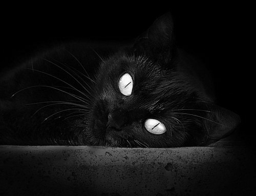 体育运动对青少年情绪调节能力的影响研究,体育运动对情绪的调节作用