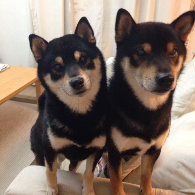 全国青少年水上冲浪锦标赛激情开赛,2021全国青少年冲浪夏令营