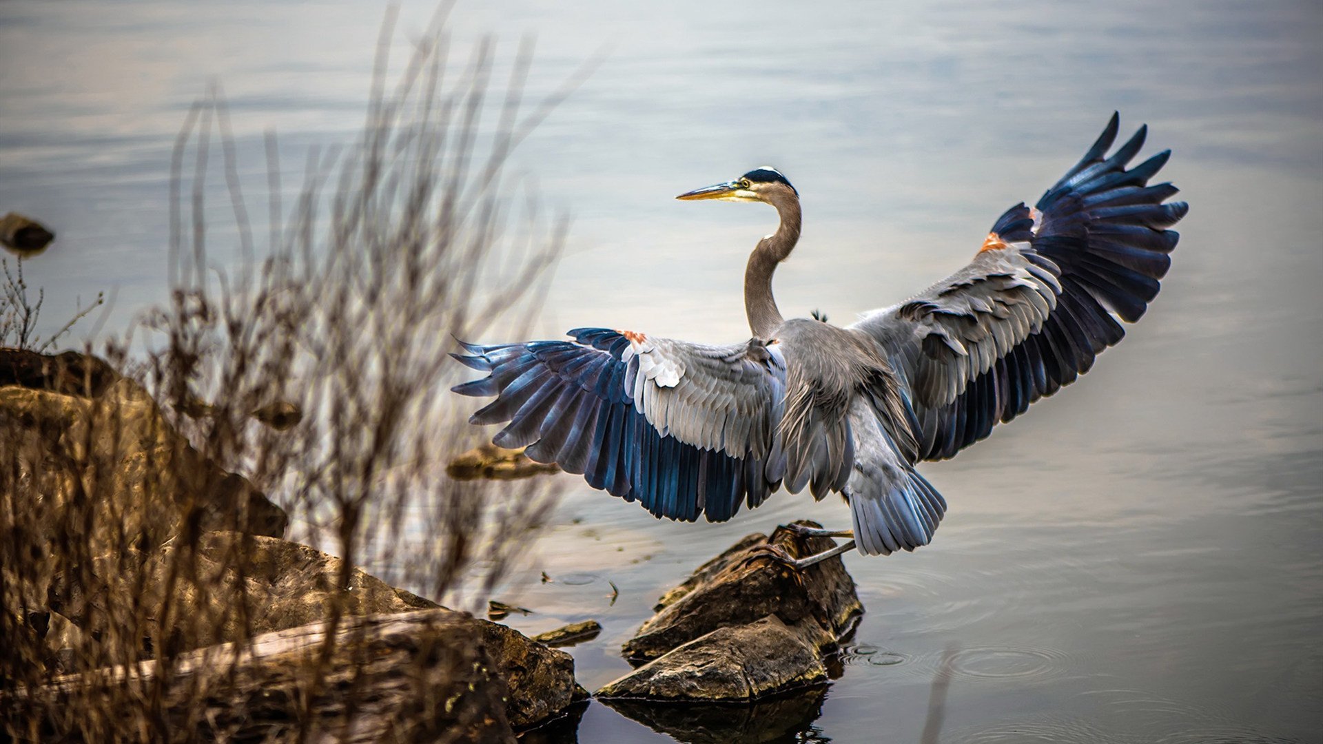 意甲球队利用人工智能辅助战术分析案例研究，人工智能 足球 app