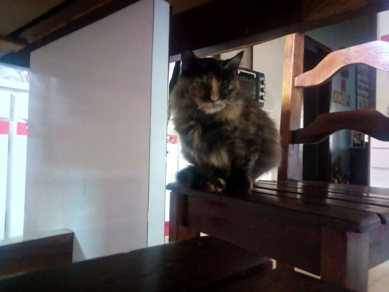 足球创新：引领未来的战术思潮，足球方面的创新创业