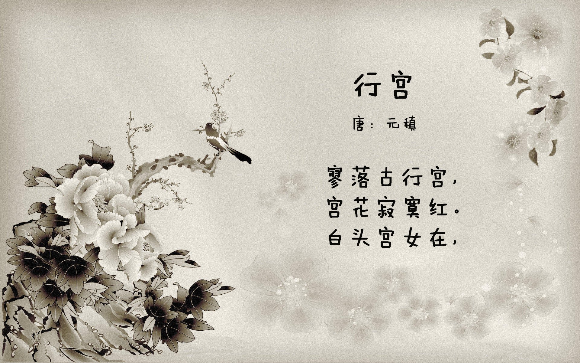 CBA外援注册新规出台 各队引援策略调整,cba外援使用新规则20212022