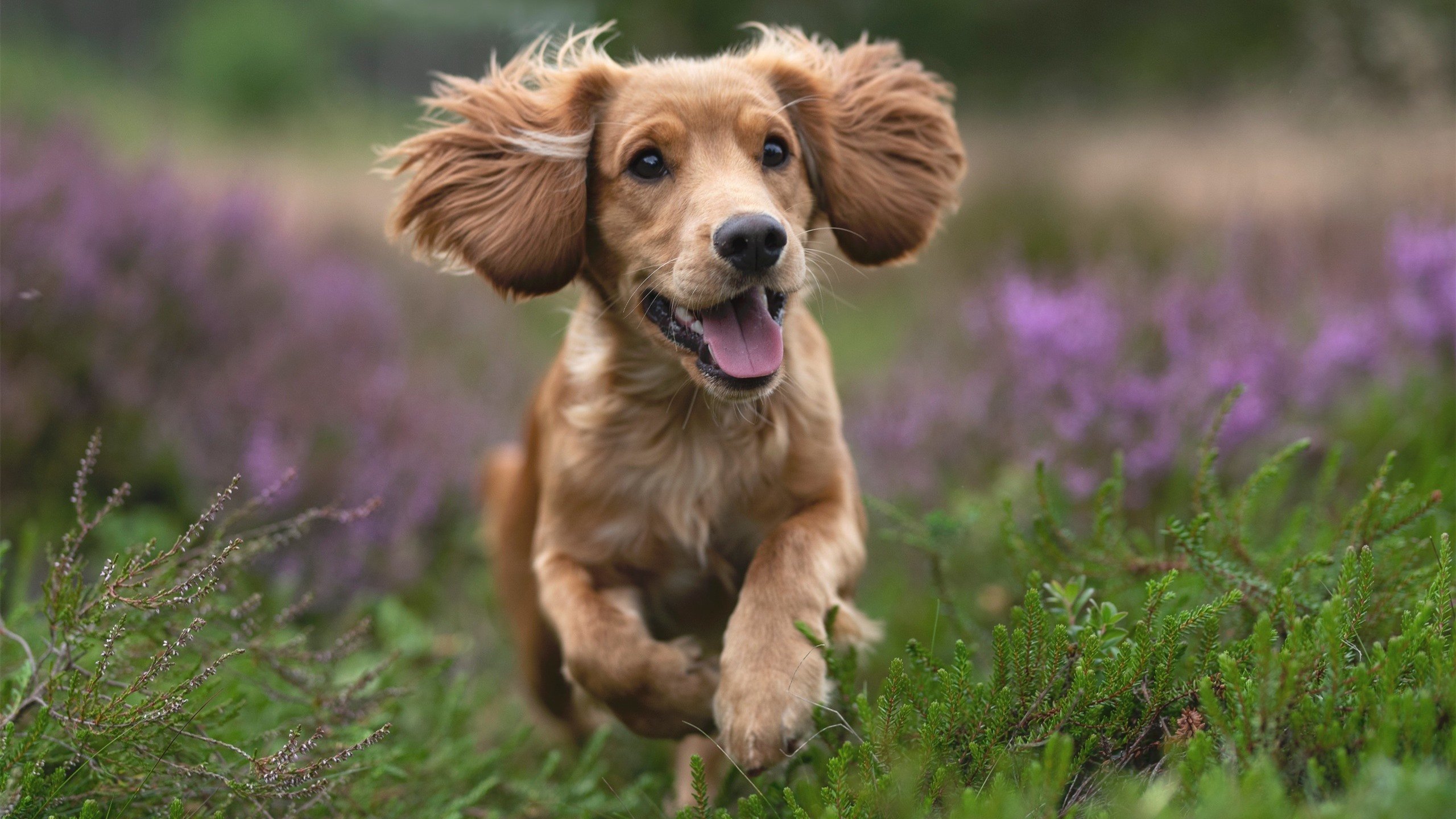 世界杯中国青年队逆袭 球员精神面貌焕然一新,世界杯中国队队员