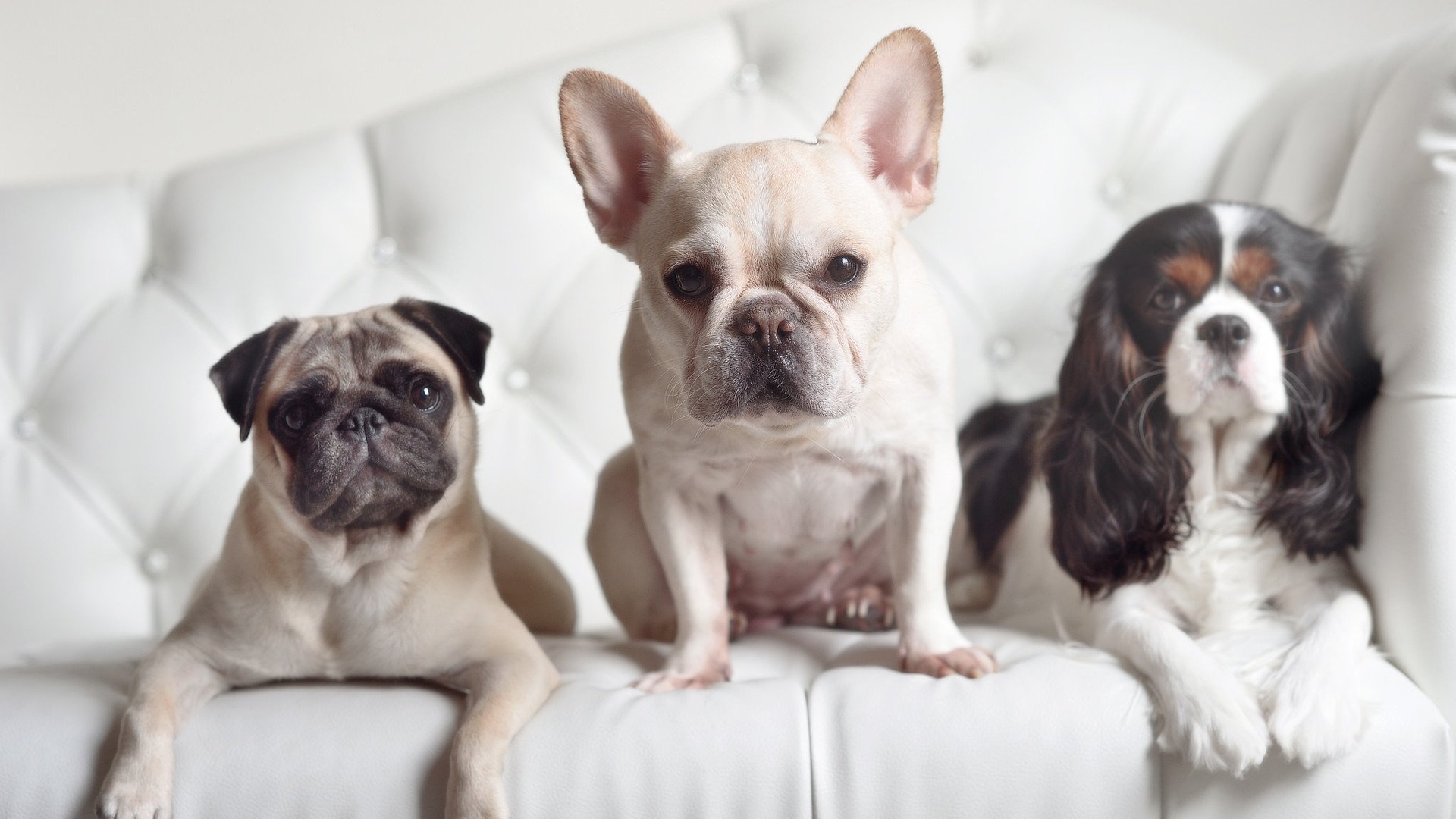 城市马拉松赛事密集市民参与热情高涨,城市马拉松意义何在