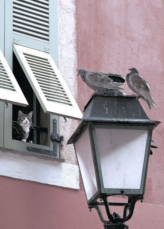 爱游戏体育-战术板是否会在比赛前夜临时调整干扰整体部署，战术板篮球图片