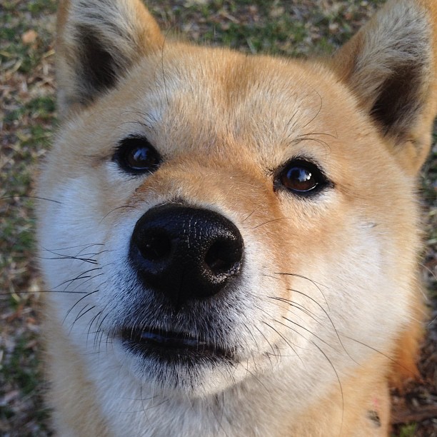 爱游戏娱乐网址-电竞行业规范化发展 政策支持加快推进，电竞产业政策