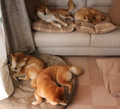 电竞行业规范化发展 政策支持加快推进,电竞产业政策