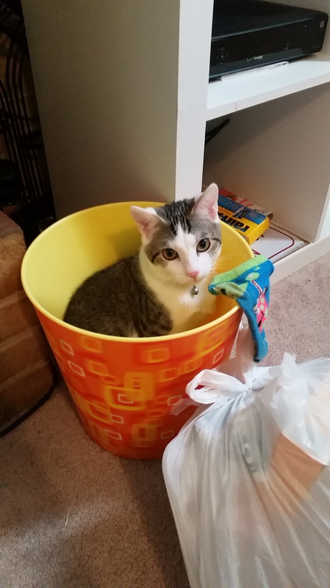 “亚戈·卡尔曼:阿根廷橄榄球的新纪元,未来发展无限”