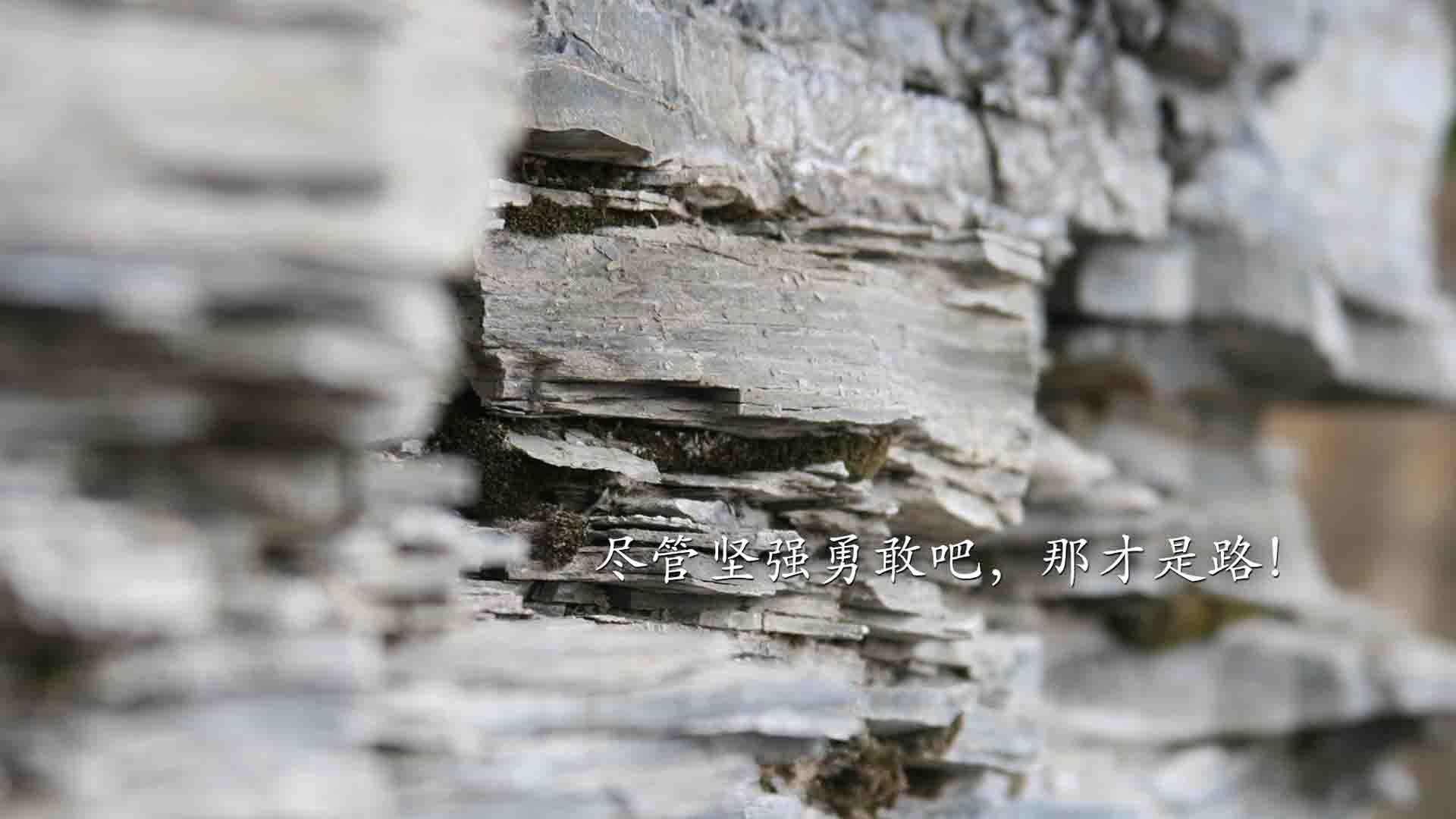 “费尔南多·比亚尔巴的技术提升,成就阿根廷橄榄球的新高度”