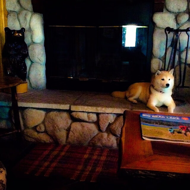 爱游戏登录入口-中国篮球支持退役球员转型教练管理岗位，中国篮球教练工资排行榜