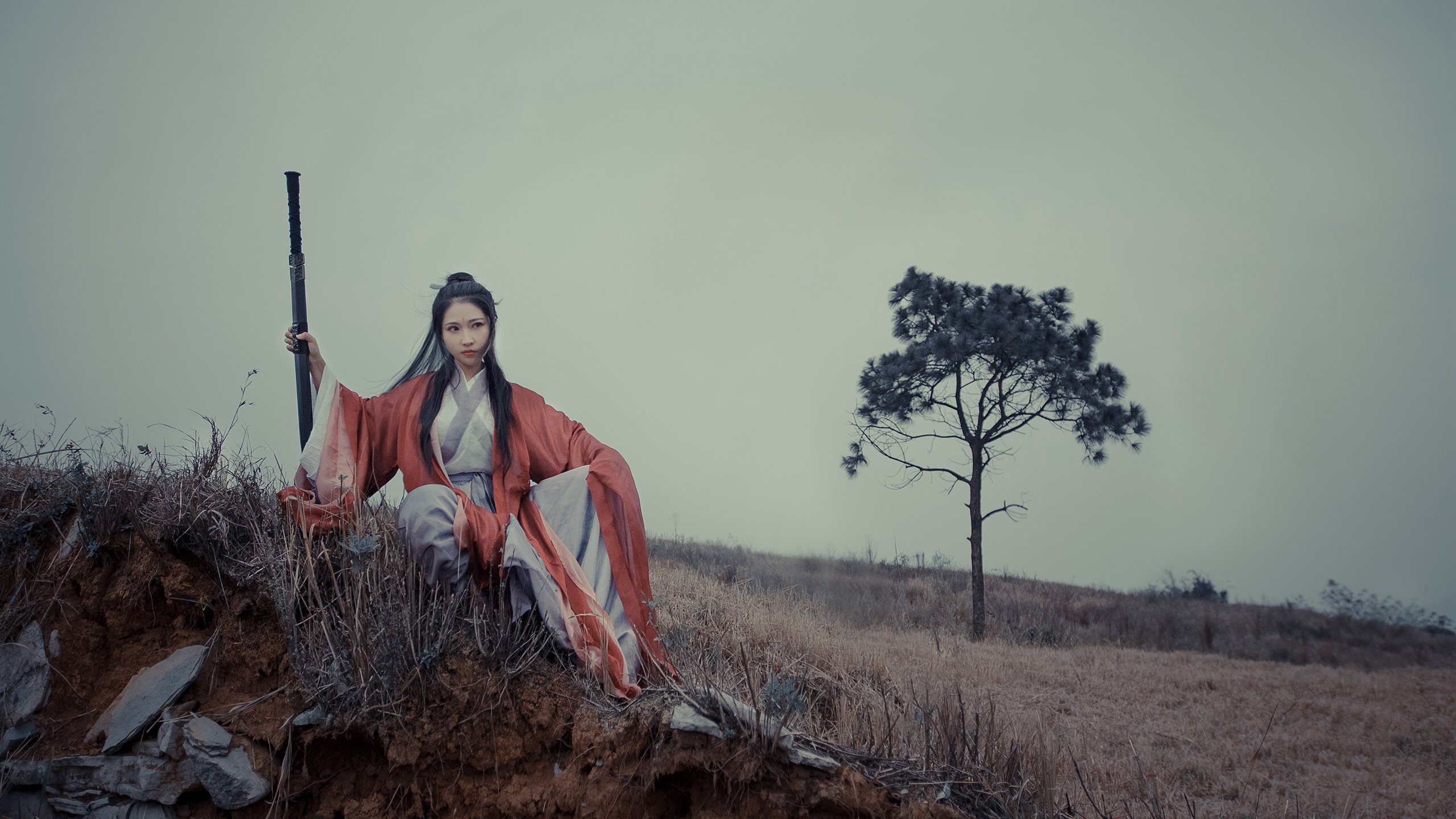 南非羚羊队:每一次反击都令人惊叹,速度与力量的完美结合,非洲羚羊种类大全