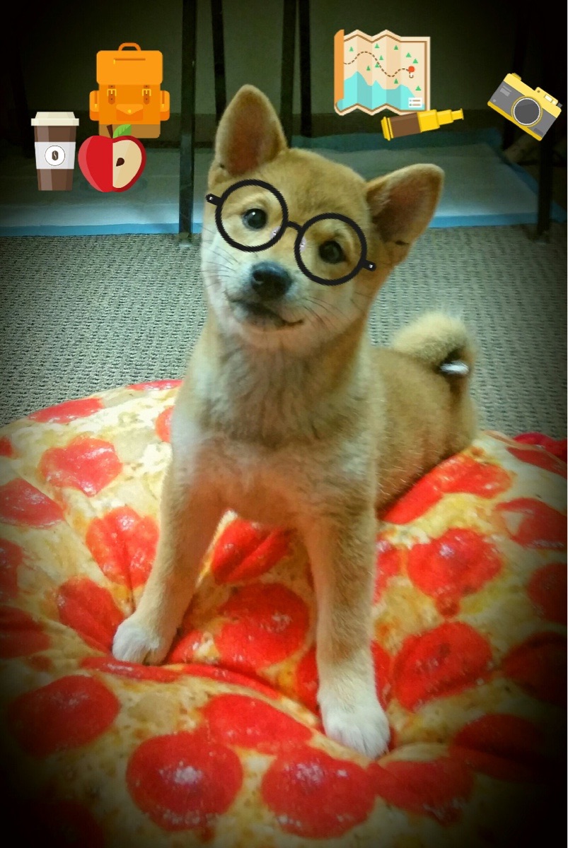 哈伦决赛表现获教练高度评价,哈伦集团