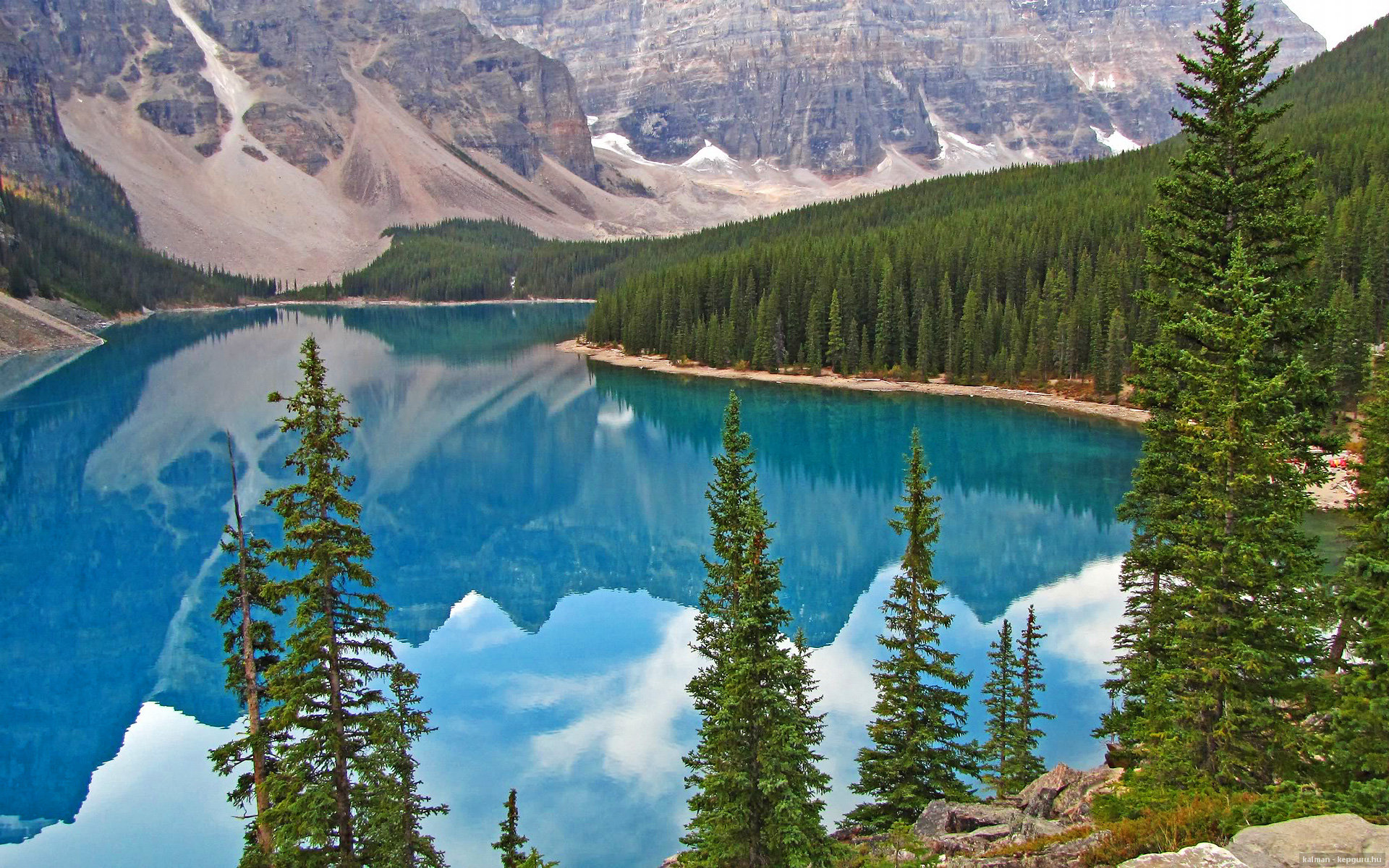 爱游戏app-游泳与跳水选手技术架构逐渐成型，游泳队和跳水队是一个队吗