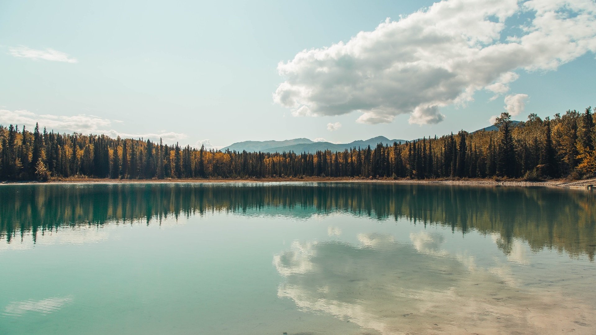 胡贝特·科斯刷新个人最佳成绩,胡安贝内特百度百科