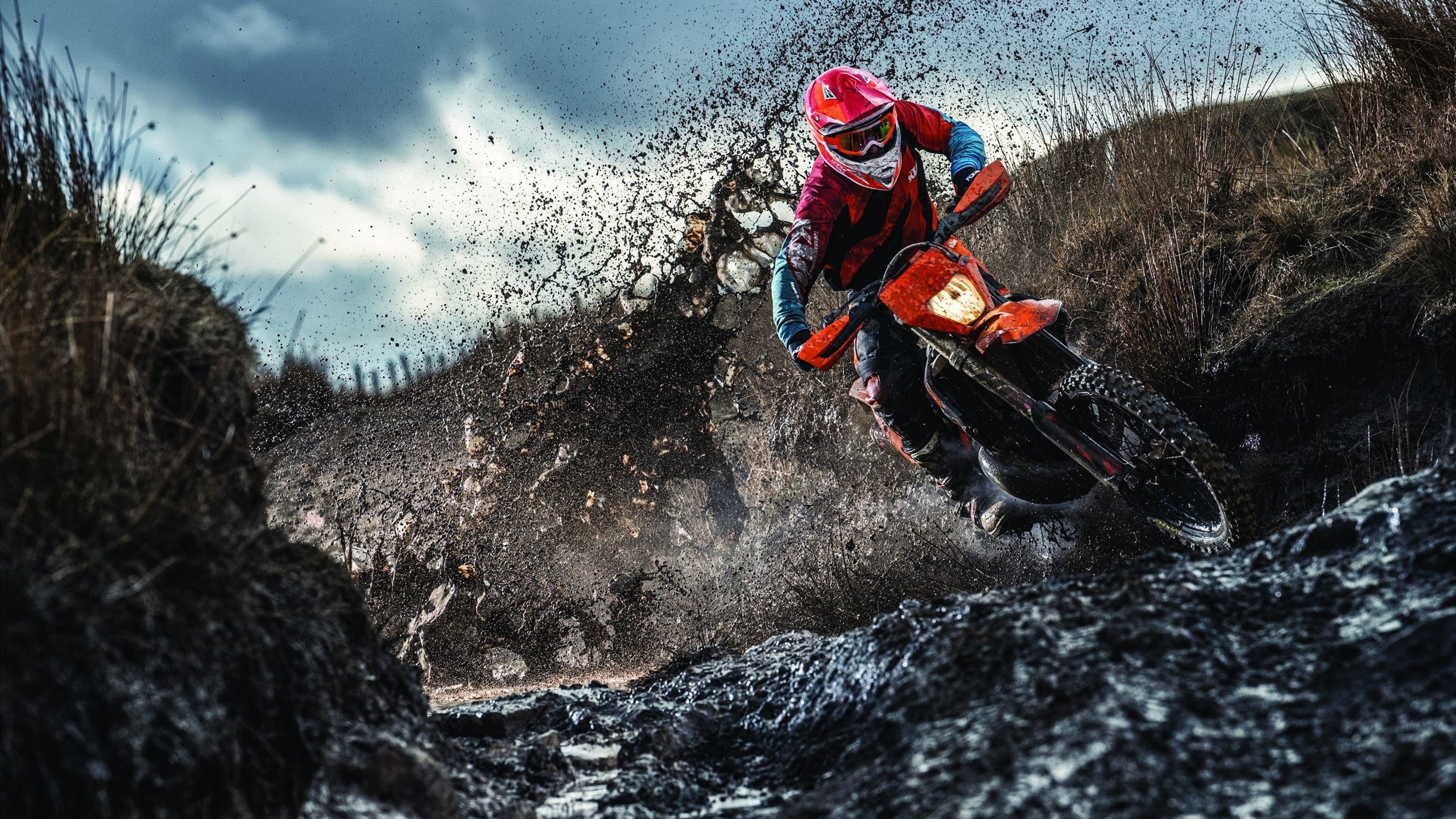 英超“明星周末”盛大开启，球迷狂欢热情高涨，英超球员假期